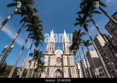 Vue sur la cathédrale se entre les palmiers dans le vieux centre de Sao Paulo, Brésil Banque D'Images