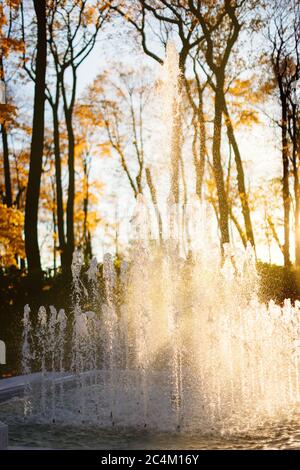 Fontaine dans le parc d'automne, coucher de soleil sur fond, gros plan. Magnifique coucher de soleil à travers la fontaine, verticale. L'automne dans le parc de la ville Banque D'Images
