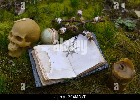 Ouvrez avec journal avec crâne, pentagramme et boule de cristal dans le jardin. Arrière-plan ésotérique, gothique et occulte avec objets magiques, mystique et fée Banque D'Images