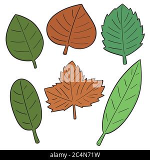 Vector set de feuilles Illustration de Vecteur