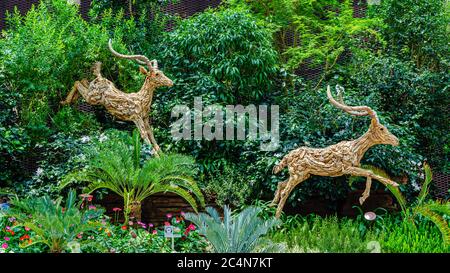 Sculpture en bois d'antilopes dans les jardins de Singapour au bord de la baie dôme floral Banque D'Images