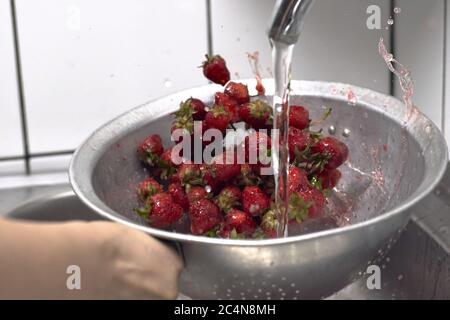 Gros plan des fraises en cours de rinçage Banque D'Images