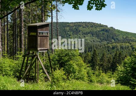 Forêt, paysage sur le Langenberg, près de Niedersfeld, dans la Hochsauerlandkreis, la plus haute montagne de NRW, siège élevé pour les chasseurs, Allemagne Banque D'Images