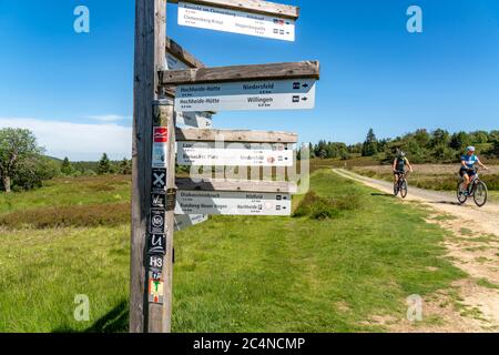 Forêt, paysage sur le Langenberg, près de Niedersfeld, dans la Hochsauerlandkreis, la plus haute montagne de NRW, panneau pour les randonneurs, Allemagne Banque D'Images