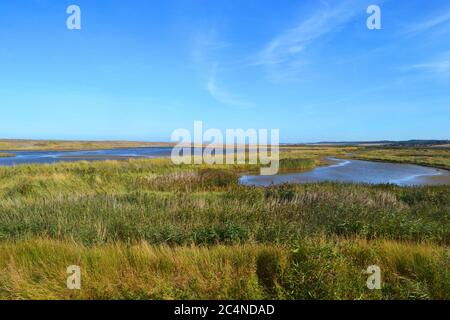 CLEY Marshes une réserve naturelle appartenant à Norfolk Wildlife Trust, à CLEY Next the Sea, Norfolk, Royaume-Uni Banque D'Images