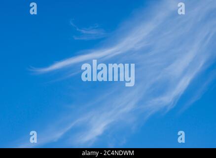 Nuage blanc doux et sans voiles sur ciel bleu , Finlande Banque D'Images