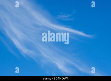 Nuage blanc doux et sans voiles sur ciel bleu , Finlande Banque D'Images