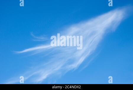 Nuage blanc doux et sans voiles sur ciel bleu , Finlande Banque D'Images