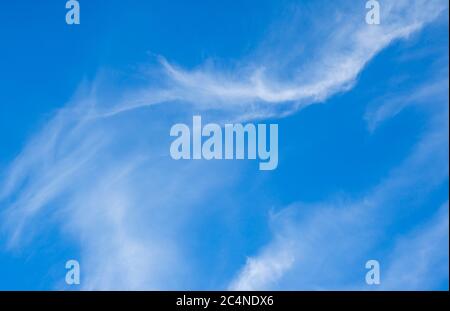 Nuages blancs doux et sans voiles sur ciel bleu , Finlande Banque D'Images