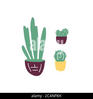 Plantes maison Doodle. Ensemble de plantes en pot dessinées à la main. Illustration vectorielle. Illustration de Vecteur