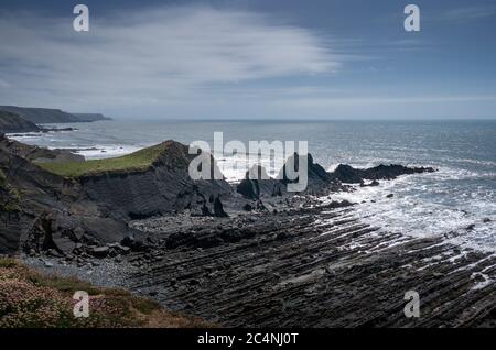 Littoral spectaculaire et accidenté à Hartland Quay, nord du Devon. Orienté sud. Banque D'Images