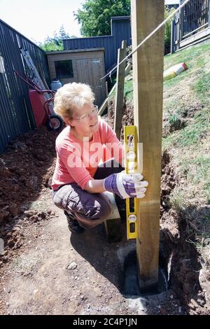 Une femme travaillant sur l'aménagement d'un jardin. Elle place des poteaux en bois dans le sol en utilisant un niveau à bulle pour s'assurer que le poteau est bien droit Banque D'Images