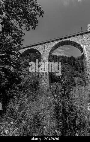 Vue spectaculaire de l'ancien pont ferroviaire au viaduc de la gorge de Ravenne à Breitnau, Allemagne. Noir et blanc Banque D'Images