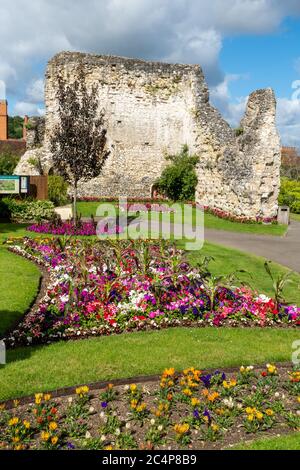 Parc du château de Guildford avec jardins fleuris colorés en été (juin), Surrey, Angleterre, Royaume-Uni Banque D'Images