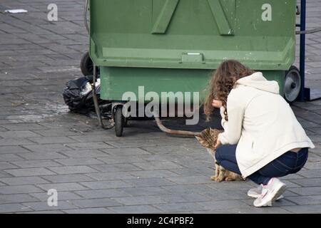 Une femme qui aime le chat sans domicile à côté de la poubelle verte. Banque D'Images