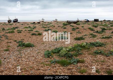 Vieux bateaux de pêche en bois sur la plage de galets à Dungeness, Kent, Angleterre, Royaume-Uni Banque D'Images