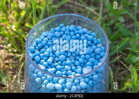 Granules d'engrais chimiques bleus de forme différente en verre sur herbe verte. Banque D'Images