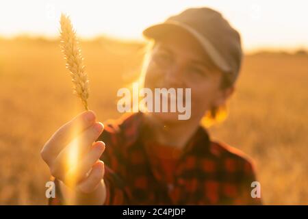 Une femme agriculteur se tient dans un champ agricole au coucher du soleil et regarde une oreille de blé. Banque D'Images