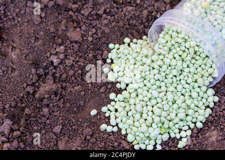Vert différentes formes de granulés d'engrais chimiques sur le sol. Banque D'Images