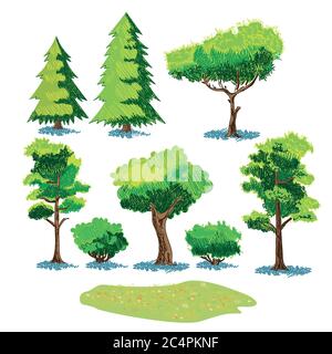 Ensemble d'esquisses vectorielles stylisées de différentes plantes Illustration de Vecteur