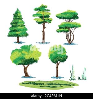 Ensemble d'esquisses vectorielles stylisées de différentes plantes Illustration de Vecteur