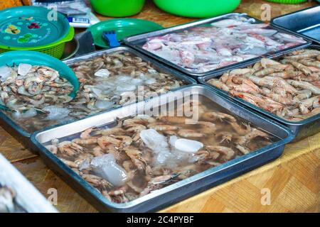 Fruits de mer frais sur le comptoir au marché du poisson près de l'océan Banque D'Images