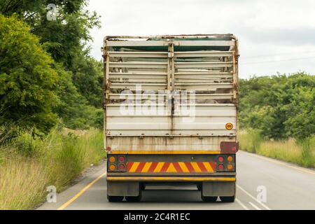 Porcs, bétail, animaux de ferme transportés par camion ou camion sur une route rurale à Kwazulu Natal, en Afrique du Sud Banque D'Images