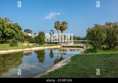 Jardins de Valence dans le vieux lit sec de la rivière Turia, reflet de l'eau. Espace loisirs et sport Banque D'Images