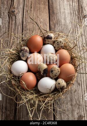 Oeufs de poule et de caille dans le foin dans un panier Banque D'Images
