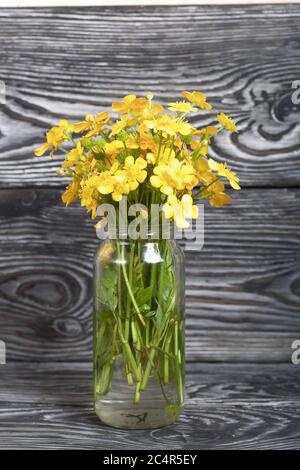 Coupe de beurre acide dans un bouquet. Il est placé dans un pot, sur des planches de pin peintes en noir et blanc. Banque D'Images