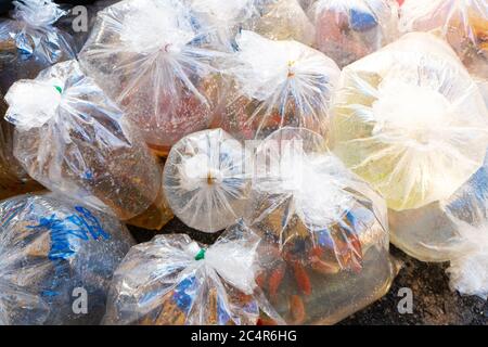 Un vendeur de poissons d'aquarium décoratifs vend du poisson vivant dans des sacs en plastique. Banque D'Images