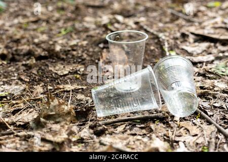 Tasses en plastique dispersées sur le sol dans la forêt Banque D'Images