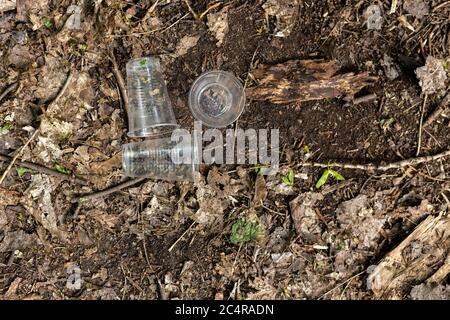 Tasses en plastique dispersées sur le sol dans la forêt Banque D'Images