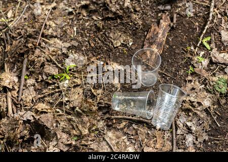 Tasses en plastique dispersées sur le sol dans la forêt Banque D'Images