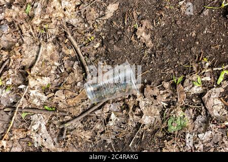 Tasses en plastique dispersées sur le sol dans la forêt Banque D'Images