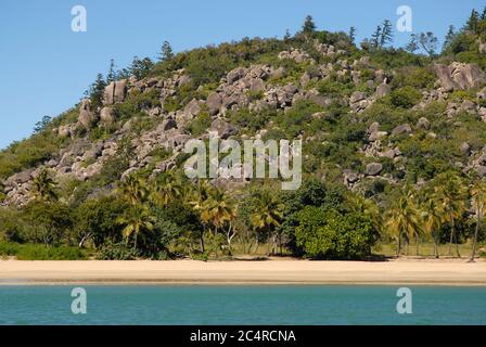 Vue de la mer à l'idyllique plage tropicale bordée de palmiers à radical Bay, Magnetic Island, Queensland, Australie Banque D'Images