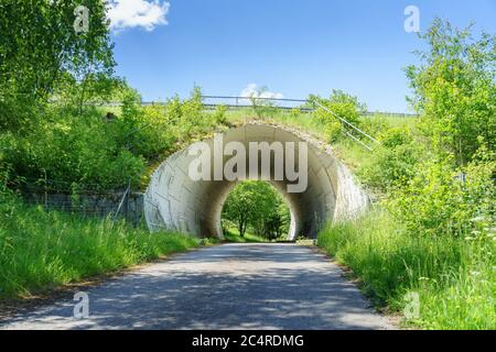 Faites de la randonnée à travers les prés, les ponts et les chemins près de Stallwang en Basse-Bavière en Allemagne Banque D'Images