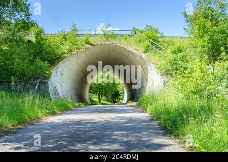 Faites de la randonnée à travers les prés, les ponts et les chemins près de Stallwang en Basse-Bavière en Allemagne Banque D'Images