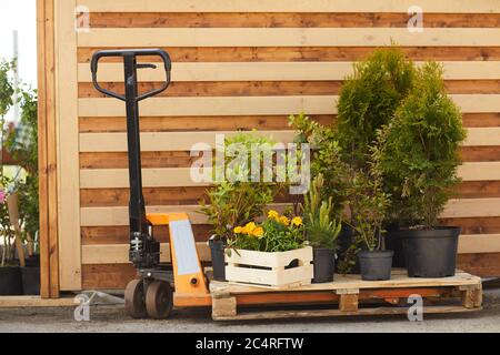 Image de fond des outils de jardinage, des fleurs et des arbres de jeunes arbres debout par hangar en bois à l'extérieur, espace de copie Banque D'Images