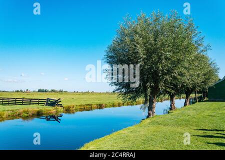 Champs verts et lac dans le village de Zaanse Schans Banque D'Images