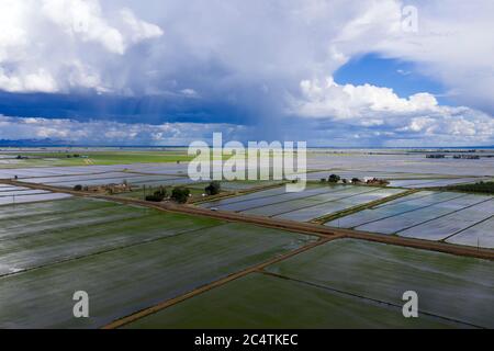 Vues aériennes des champs de riz inondés au printemps dans le comté de Colusa, Californie, près de Maxwell Banque D'Images