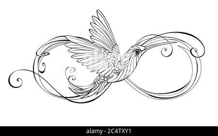 Tracez le symbole de l'infini avec un oiseau-colibri stylisé sur un fond blanc isolé. Illustration de Vecteur