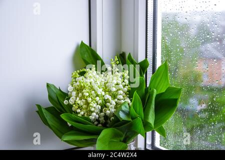 Un bouquet de lys de la vallée se trouve dans un pot en verre sur le rebord de la fenêtre. Fenêtre avec gouttes de pluie Banque D'Images