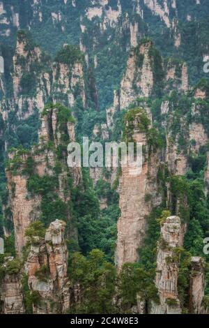 Superbes piliers de roche de la chaîne de montagnes tianzi, Parc naturel des montagnes Avatar, Zhangjiajie, Chine Banque D'Images