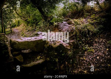 Une vieille pierre s'entaille sur un sentier de la forêt de Metha dans la vallée de la lappa, près de St Newlyn East, dans les Cornouailles. Banque D'Images