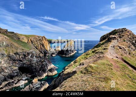 Vue depuis Kynance Cove sur la péninsule de Lizard en direction de Lion Rock et Lizard point. Réserve naturelle nationale de Lizard, péninsule de Lizard, Cornwall, Royaume-Uni Banque D'Images