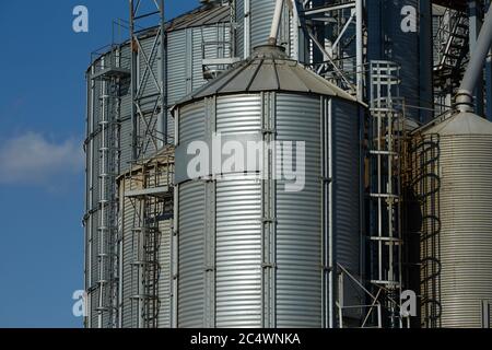 Terminal à grain moderne. Réservoirs métalliques de l'élévateur. Construction de complexes de séchage de grains. Silos commerciaux de céréales ou de semences au port maritime. Stockage en acier pour Banque D'Images