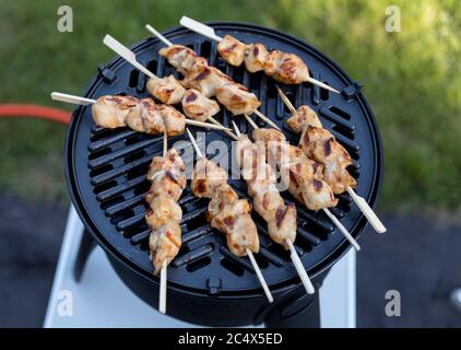 barbecue électrique avec plaque de cuisson pour un bon plat de poulet Banque D'Images