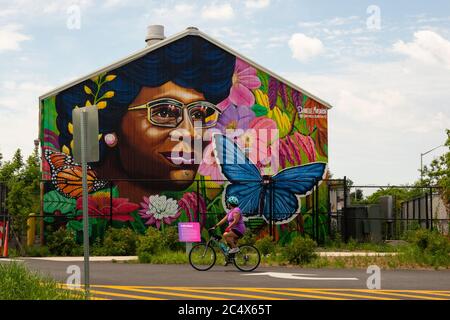 Shirley Chisholm State Park Brooklyn New York Banque D'Images