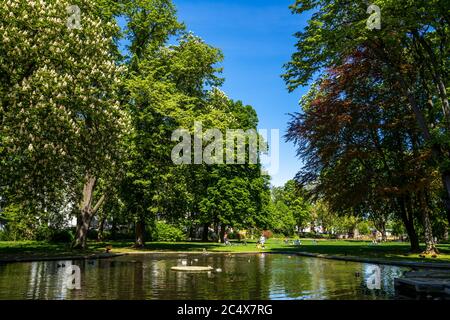 Jardin public à Bad Vilbel, Hesse, Allemagne Banque D'Images